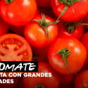 el tomate y sus beneficios