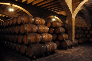 Vinos de La Rioja de España